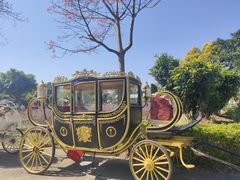 -广东花都香草世界旅游度假区