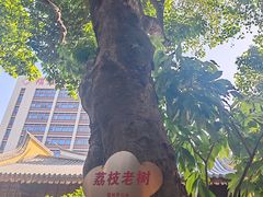 -福州开元寺