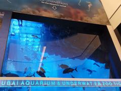 -迪拜水族馆及水下动物园