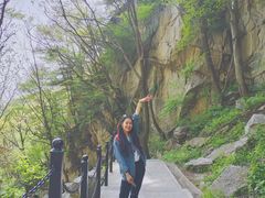 -王顺山国家森林公园