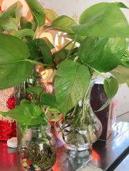 点击看大图 -尚艺造型.剪烫染.接发