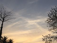 -白石龙音乐公园