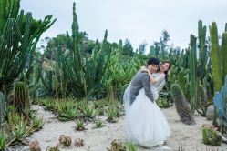 -绿皮火车照相馆 婚纱照旅拍(厦门店)