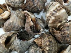 多味海螺-渔家小院观海海肠捞饭地方菜(环海中路店)