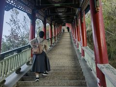 -兰山公园
