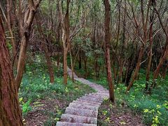 -天生桥景区