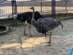 -吉隆坡雀鸟公园