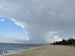 -海口绿发希尔顿酒店-田园汇自助餐·三文鱼·海鲜