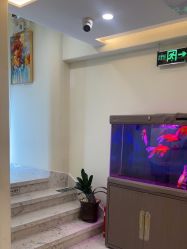 -海涛医疗美容·面部抗衰·注射美鼻