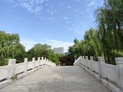 -大兴滨河森林公园