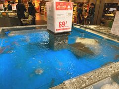 -盒马鲜生(莱蒙都会店)