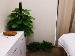 -贞禾医美·连锁