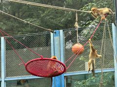 -大连森林动物园