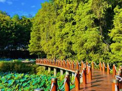 -深圳仙湖植物园