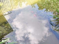 -活水公园