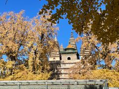 -北京石刻艺术博物馆(五塔寺)