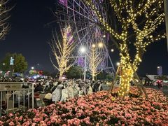 -南昌之星摩天轮