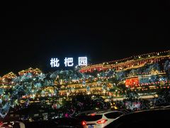 -枇杷园食为鲜火锅(南山店)