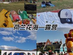 -荷兰花海