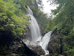 -大围山国家森林公园