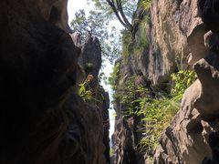 -千岛湖石林