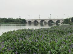 -尚贤河湿地