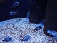 -成都浩海立方海洋公园