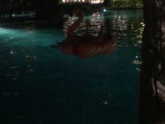 -三亚亚龙湾雅高美爵酒店