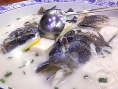 -全乐鱼馆·淳牌有机鱼直营店