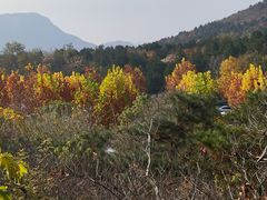 -北京十三陵国家森林公园蟒山景区