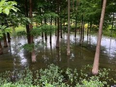 -呈贡滇池生态湿地公园