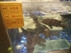 -顺峰(南二环店)