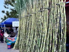 -南坛综合农贸市场