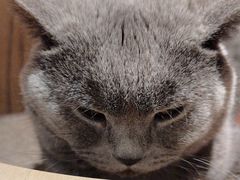 -么么咖啡(燕郊店)