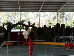 -泉州海丝野生动物世界