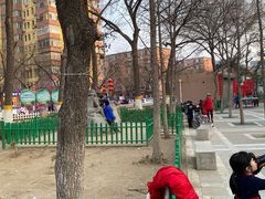 -双榆树公园