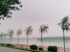 -丁香湖公园
