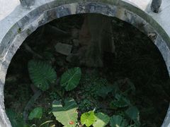 -梧桐山风景名胜区