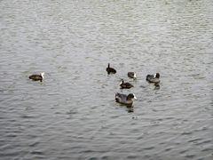 -前关湿地公园