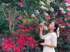 -杭州城北体育公园