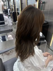 -Hair Code芭曲发型