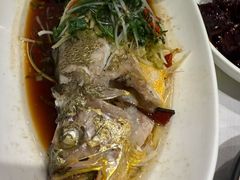 -老吉士酒家(天平路店)