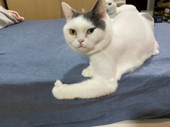 -永和大王(春日上新·浦东南路店)