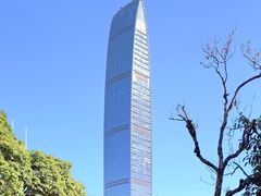 -瑞吉酒店·The Drawing Room闲逸廊·云端下午茶·夜奢Whiskey