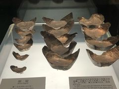 -衢州市博物馆