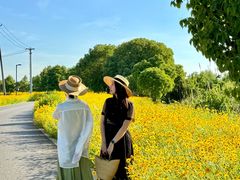 -七的湖·晚芳亭·阳澄湖农家菜·大闸蟹(莲花岛店)