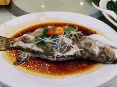 清蒸桂鱼-清心鸡沙田乳鸽店·非遗传承(石溪店)
