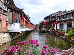 -丁丁&当当牦牛酸奶·酥油面包(官门口店)
