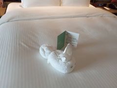 -南京禄口机场雅高铂尔曼大酒店