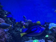 -成都浩海立方海洋公园